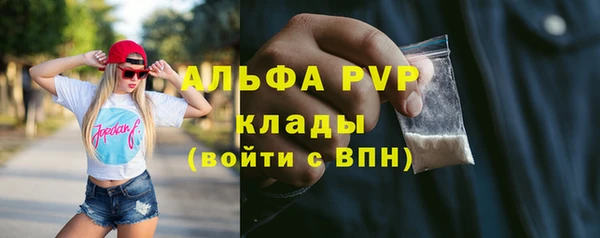 спиды Ростов
